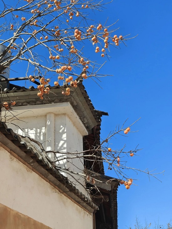 25f8dd8e25b3100beb177c19bd5cd008.jpg 25f8dd8e25b3100beb177c19bd5cd008.jpg